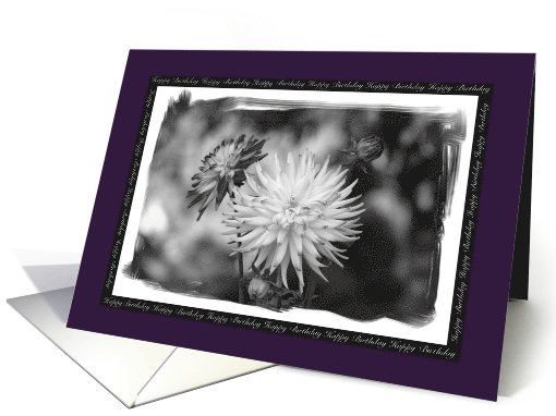 Happy Birthday - Black and White Dahlia's card (870808)