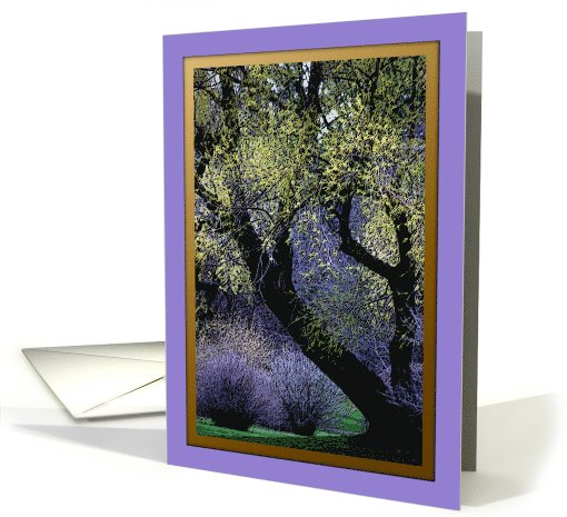 Spring Trees at Finch Arboretum ~ Blank card (875290)