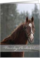 Howdy Pardner Horse ~ Blank card