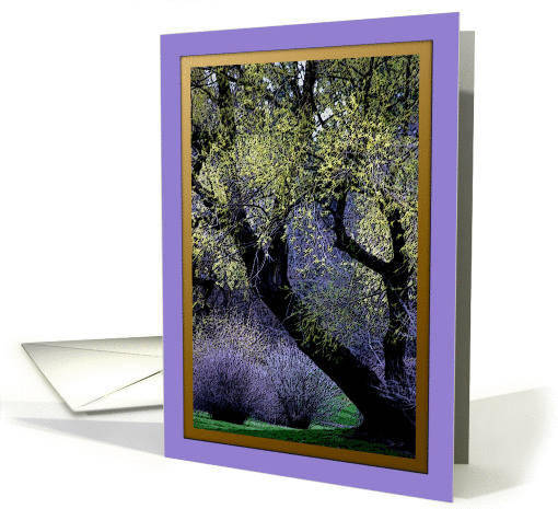 Arbor Day ~ Finch Arboretum Tree in Spring card (894335)