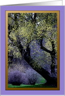 Arbor Day ~ Finch Arboretum Tree in Spring card