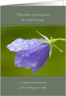 Sympathy Bellflower After the Rain card
