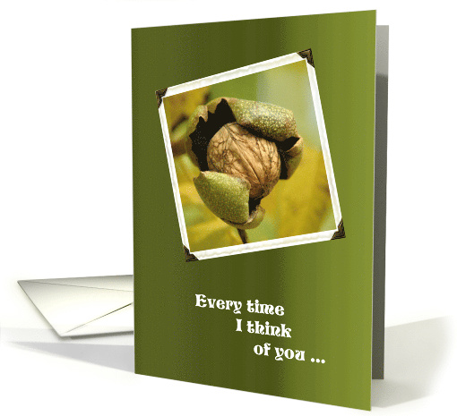 Bust a Nut Vasectomy Get Well Humor card (916393)
