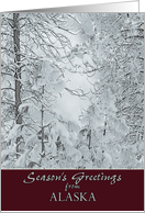 Season’s Greetings from Alaska Snow Covered Winter Trees card