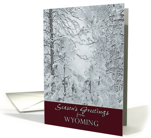Season's Greetings from Wyoming Snow Covered Winter Trees card