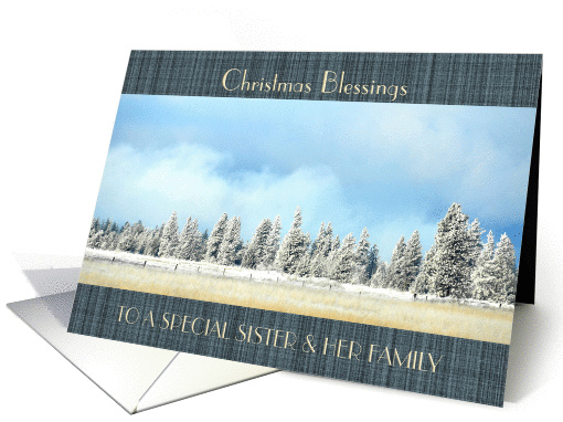 Christmas Blessings to Sister & her Family Winterscape Trees card
