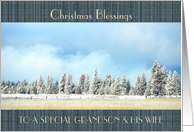 Christmas Blessings to Grandson & his Wife Winterscape Trees card