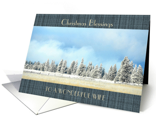 Christmas Blessings To Wonderful Wife Country Winterscape Trees card