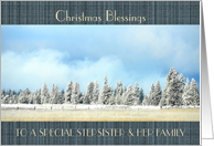 Christmas Blessings To Stepsister & her Family Winterscape Trees card