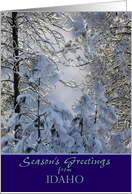 Season’s Greetings from Idaho ~ Snow Covered Winter Trees card