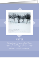 Christmas to Sister ~ A Perfect Time Orchard Trees in Winter card