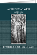 Christmas Wish to Brother & Sister-in-Law Black and White Treescape card