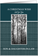 A Christmas Wish for...