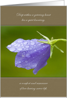 Sympathy Bellflower After the Rain card