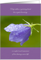 Sympathy Bellflower After the Rain card