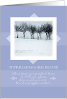 Christmas to Stepdaughter and Her Husband ~ Orchard Trees in Winter card
