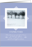 Christmas to Stepbrother ~ Orchard Trees in Winter card