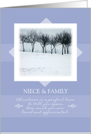 Merry Christmas to Niece and Family ~ Orchard Trees in Winter card