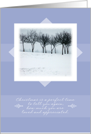 Merry Christmas ~ Blue Orchard Trees in Winter card