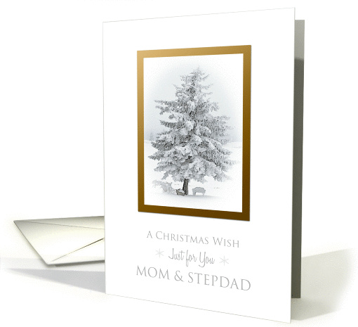 Christmas Wish for Mom and Stepdad Snow Scene in the Country card
