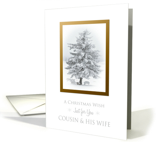 Christmas Wish for Cousin and His Wife Snow Scene in the Country card