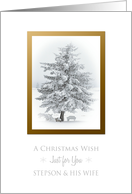 Christmas Wish To Stepson and His Wife Snow Scene in the Country card