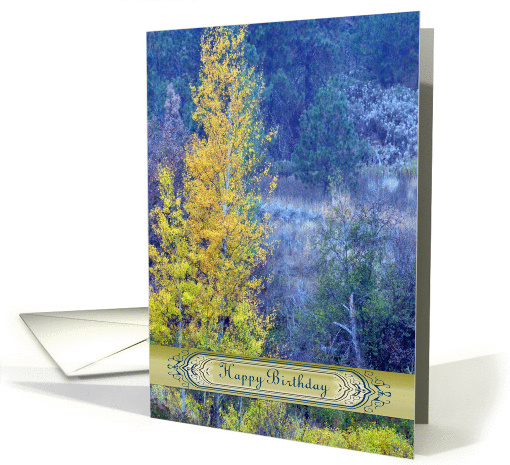 Happy Birthday Serene Reflection in the Woods card (945495)