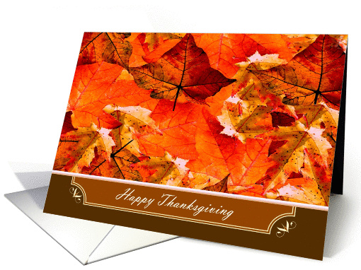 Happy Thanksgiving ~ Colors of Fall/Autumn Leaves card (950620)
