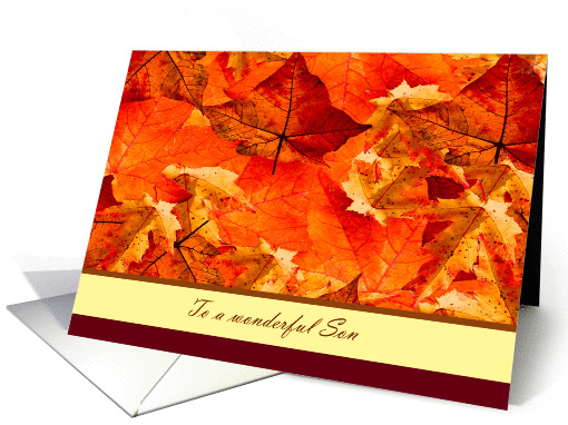 Happy Thanksgiving to Son ~ Colors of Fall/Autumn Leaves card (950649)
