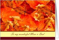 Happy Thanksgiving to Mom and Dad ~ Colors of Fall/Autumn Leaves card