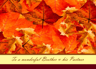 Thanksgiving to Brother & his Partner ~ Colors of Fall/Autumn Leaves