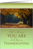 Thanksgiving Birthday What a Blessing You Are ~ An Autumn Path card