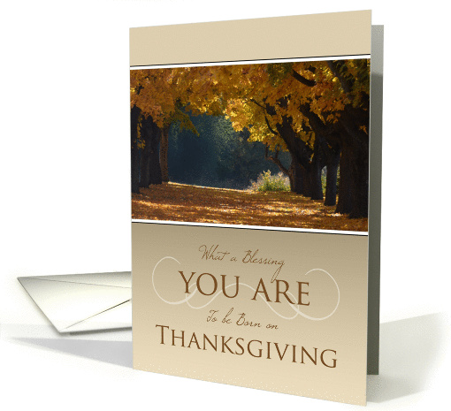 Thanksgiving Birthday ~ What a Blessing You Are card (957565)