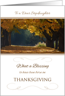 Thanksgiving Birthday for Stepdaughter ~ What a Blessing card