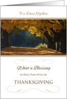 Thanksgiving Birthday for Nephew ~ What a Blessing Autumn Path card