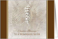 Thanksgiving Wheat To Sister ~ Countless Blessings card