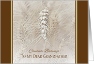 Thanksgiving Wheat To Grandfather ~ Countless Blessings card