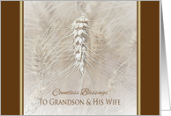 Thanksgiving Wheat To Grandson and Wife ~ Countless Blessings card