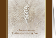 Thanksgiving Wheat To Grandson and Family ~ Countless Blessings card