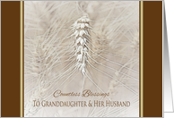 Thanksgiving Wheat Granddaughter and Husband ~ Countless Blessings card