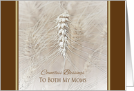 Thanksgiving Wheat To Both My Moms ~ Countless Blessings card