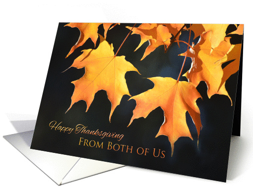Happy Thanksgiving From Both of Us ~ Golden Maple Leaves card (976885)