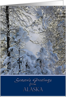 Season’s Greetings from Alaska ~ Snow Covered Trees card