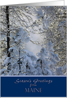 Season’s Greetings from Maine ~ Snow Covered Trees card