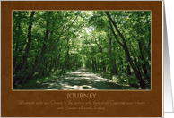 Journey ~ Tree Lined Path card