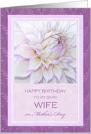 For Wife's Birthday...