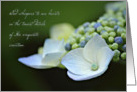 God Whispers to Our Hearts - Blue Hydrangea Note card