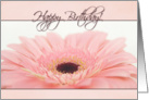 Happy Birthday - Pink Gerbera Daisy Card
