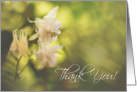 Soft Floral Thank You Card