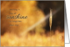 Ray of Sunshine - Thinking of You Card